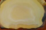 Polished Brazilian Agate Slice #156310-1